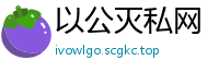 以公灭私网